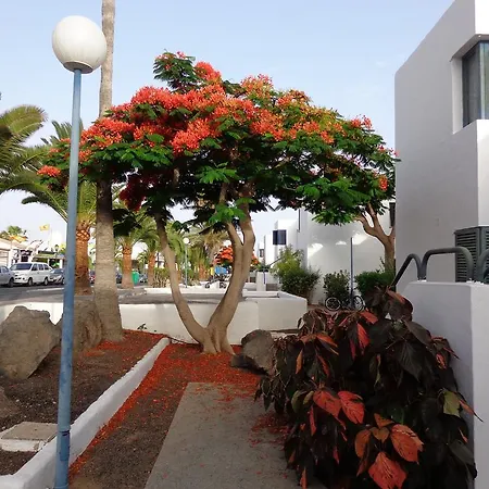 Guest house Habitaciones Residencial Corralejo Centro Playa *