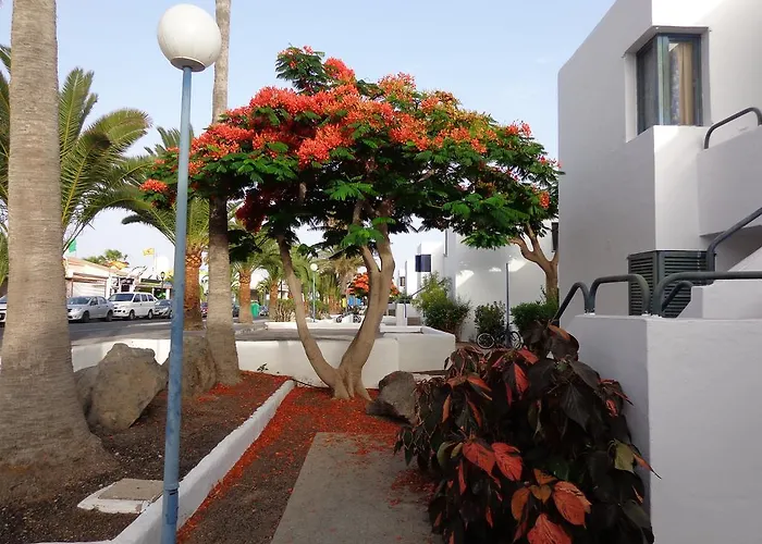 Maison d'hôtes Habitaciones Residencial Corralejo Centro Playa *